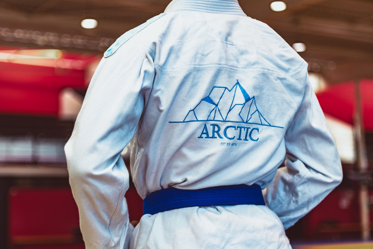 Gi Artic